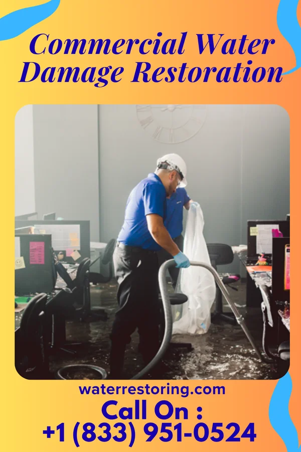 Commercial Water Damage Restoration in Rainbow Park, FL