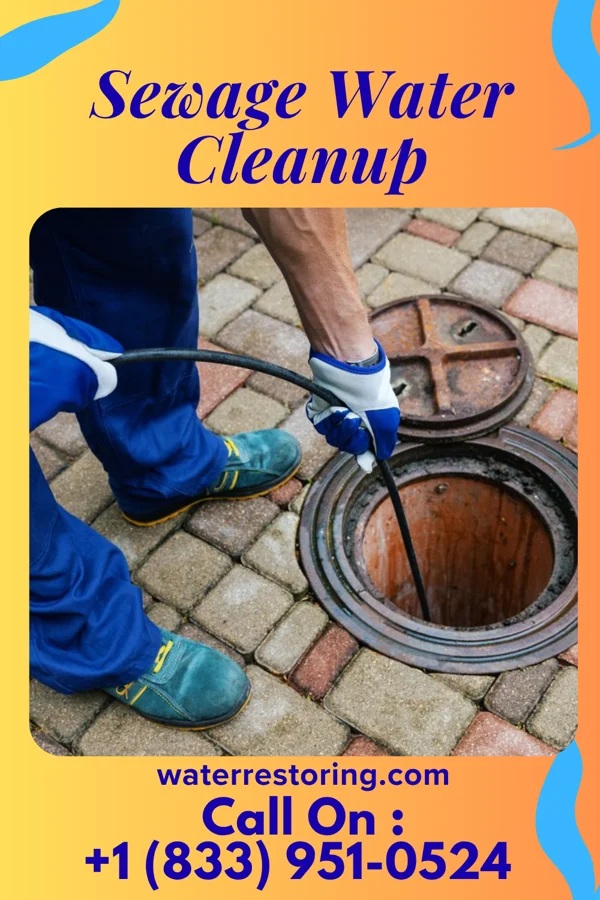 Sewage Water Cleanup in Rainbow Park, FL